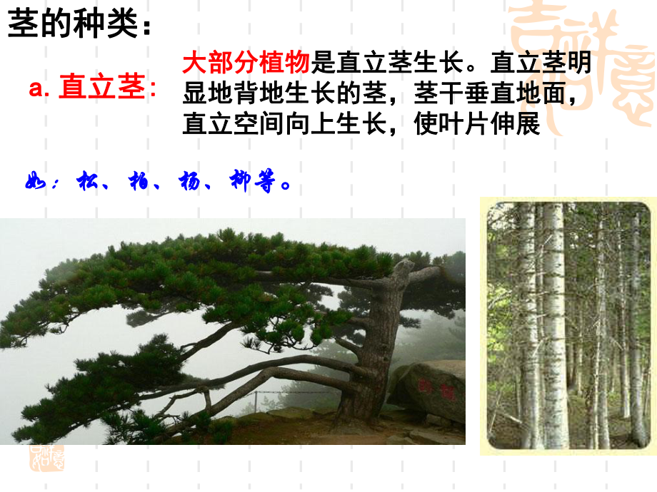 初二八年级科学下册 44植物的茎与物质运输课件.ppt_第2页