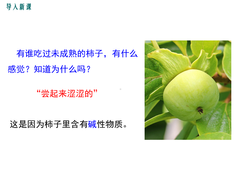 九年级化学几种常见的碱碱的化学性质课件.ppt_第2页