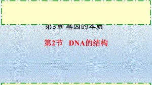 人教版新教材《DNA的结构》课件1-002.pptx