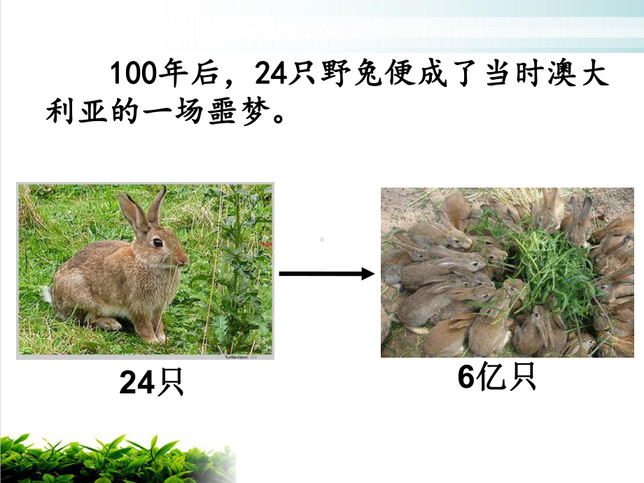 （新教材）人教版高中生物种群数量的变化课件完美1.ppt_第3页