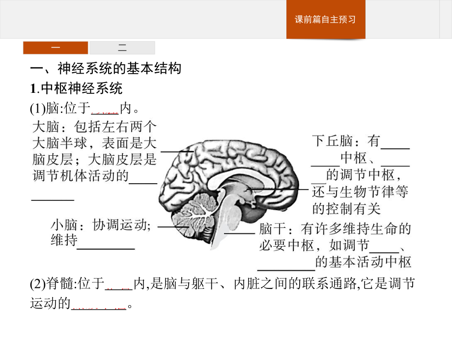 人教版新教材《神经调节的结构基础》优质课件1.pptx(课件中无音视频)_第3页