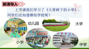 《花的学校》 经典课件1.ppt