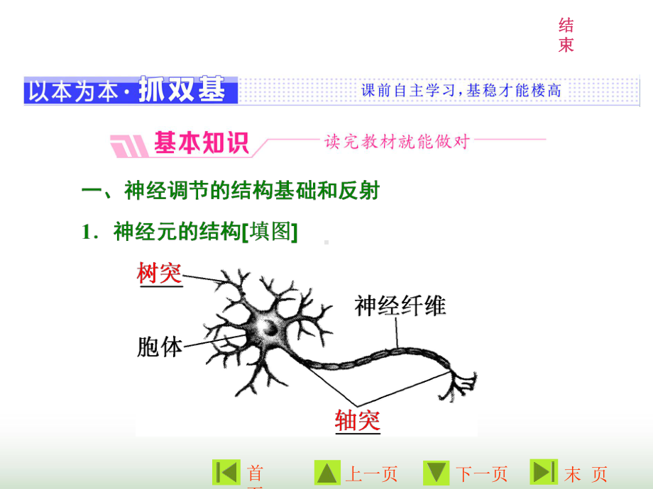 人教版高中生物必修三第2章第1节第1课时反射与反射弧及兴奋在神经纤维上的传导课件.ppt_第3页