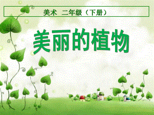 二年级下册美术《1美丽的植物》 人美版课件.ppt