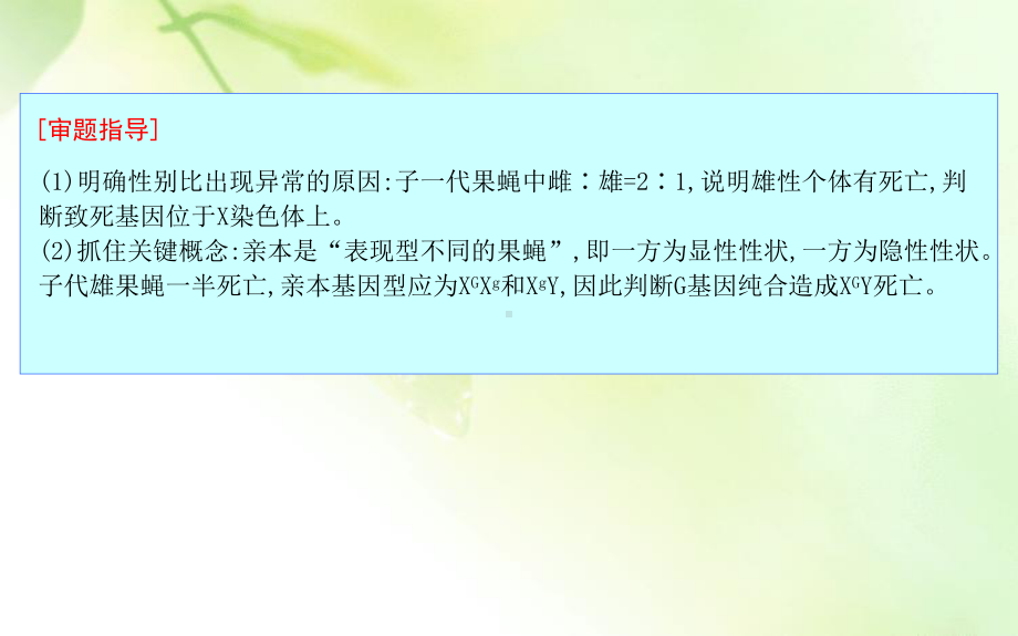 2021版新高考地区选考生物一轮复习课件：素养提升课6 基因位置的判定与探究.ppt_第3页