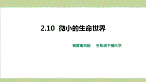 (新教材)粤教版五年级下册科学 210 微小的生命世界课件.pptx