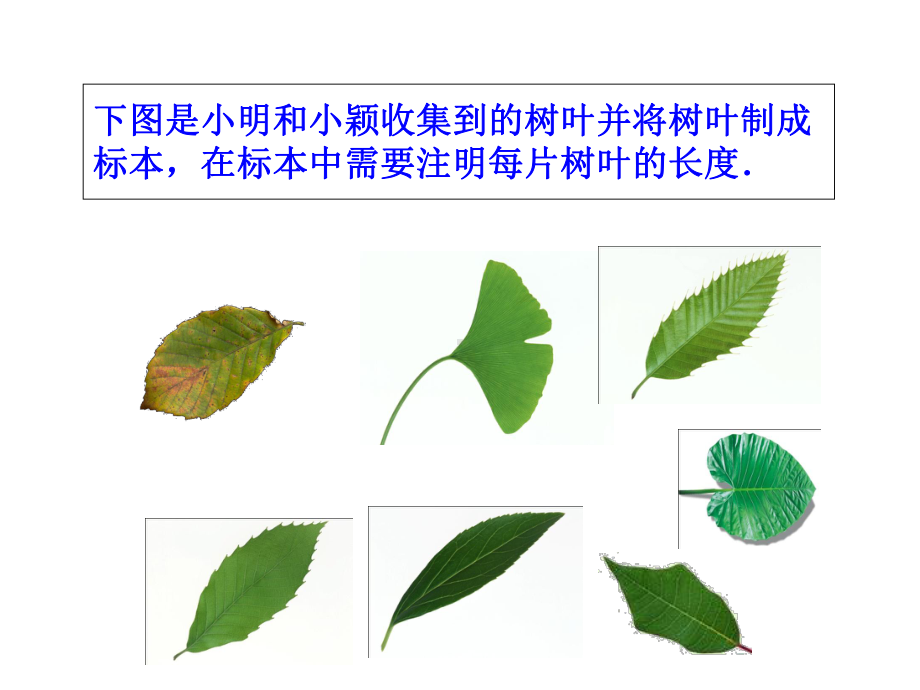 人教版七年级数学上课件：153近似数.pptx_第2页