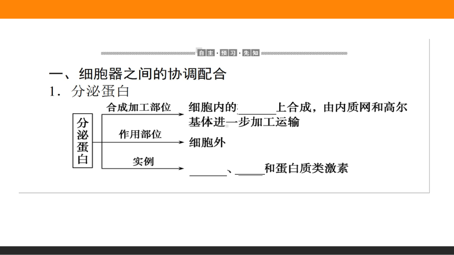 《细胞器之间的分工合作》细胞的基本结构教学课件(优选)(第二课时).pptx_第2页