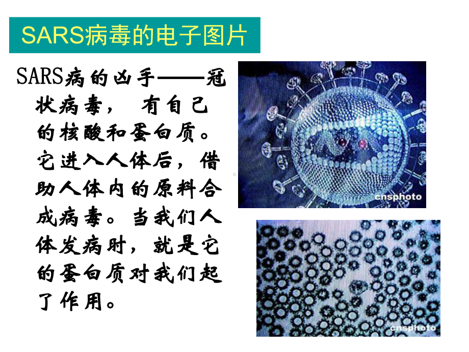 人教版高二化学选修5第四章第三节《蛋白质和核酸》课件.ppt_第2页