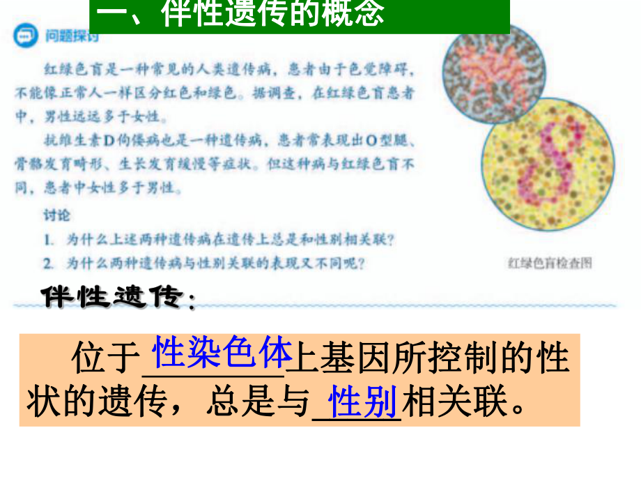 人教版新教材《伴性遗传》课件1.pptx_第2页