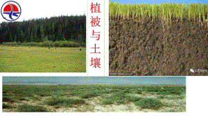 人教版（地理）植被1课件.ppt