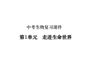 中考生物复习知识点梳理《走进生命世界》(复习课件整理).ppt