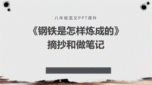 《钢铁是怎样炼成的》摘抄和做笔记教学课件.pptx