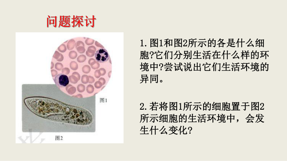 人教版新教材《细胞生活的环境》优质课件1.pptx(课件中无音视频)_第3页