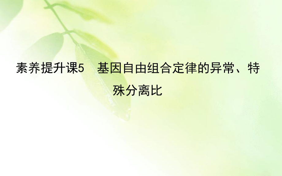 2021版新高考地区选考生物一轮复习课件：素养提升课5 基因自由组合定律的异常、特殊分离比.ppt_第1页