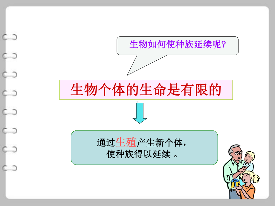 《精卵结合孕育新的生命》 优质精选课件.pptx_第2页