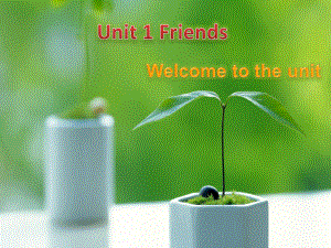 Unit1 Friends Welcome and comic课件牛津译林版8A.ppt(课件中不含音视频素材)