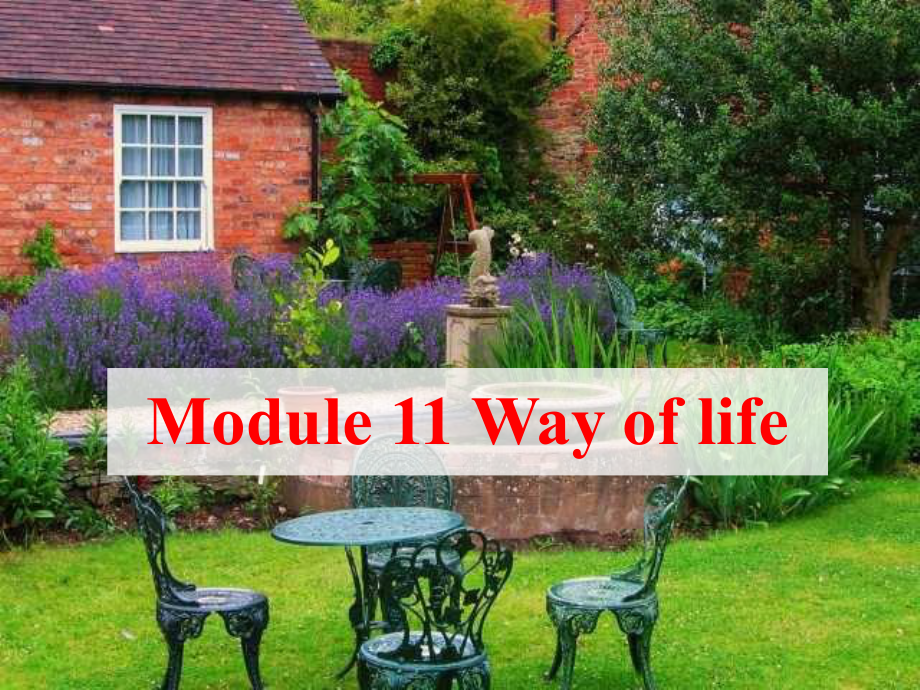 Module 11 Way of life Unit 2课件(外研版八年级上).ppt(课件中不含音视频素材)_第1页