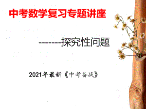 2021年中考数学复习专题讲座课件.ppt