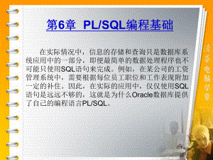 PLSQL编程基础学习培训模板课件.ppt