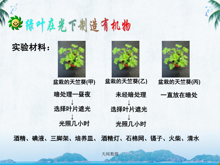 人教版七年级生物《绿色植物是生物圈中有机物的制造者》教学课件.ppt_第3页