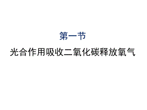 公开课课件 人教版七年级上：光合作用吸收二氧化碳释放氧气课件全面版.ppt