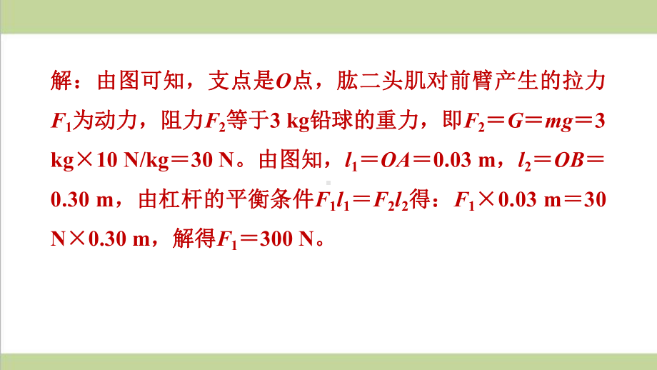 人教版八年级下册物理专训2简单机械的计算重点专题练习课件.ppt_第3页