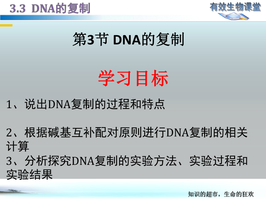 （新教材生物）《DNA的复制》1课件.pptx_第2页