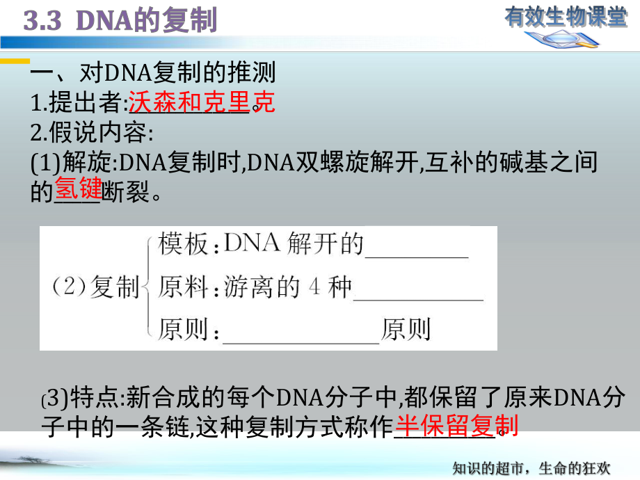 （新教材生物）《DNA的复制》1课件.pptx_第3页