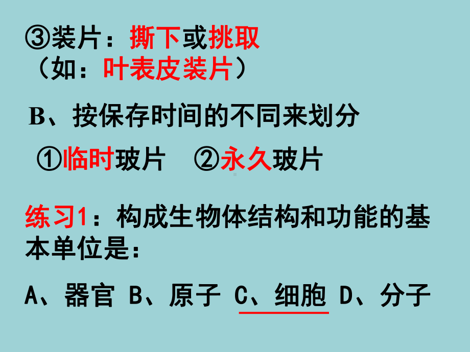 人教版七年级生物上册《植物细胞》课件.pptx_第2页