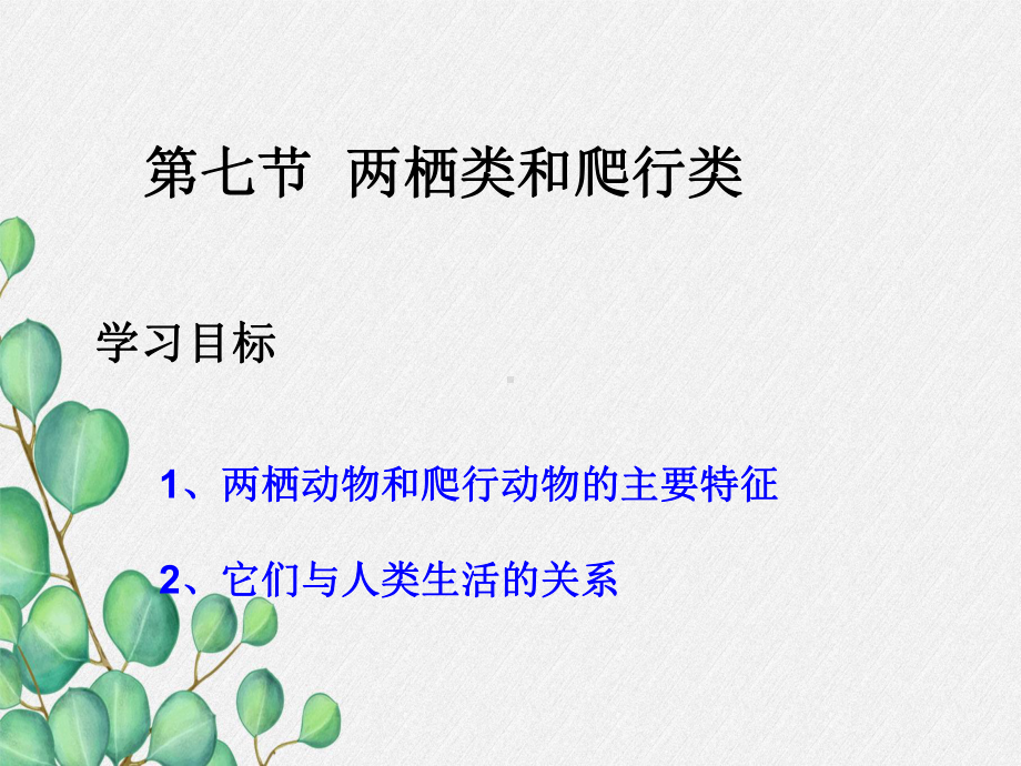 《两栖类和爬行类》课件 (公开课获奖)2022年冀教版 .ppt_第3页