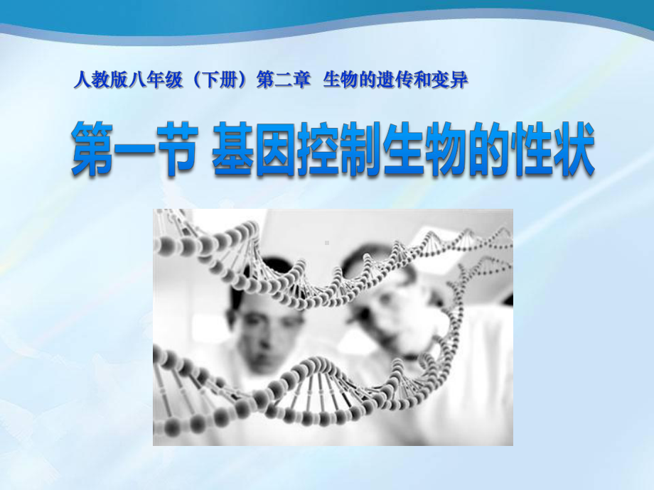 人教版初中生物基因控制生物的性状课件.ppt_第1页