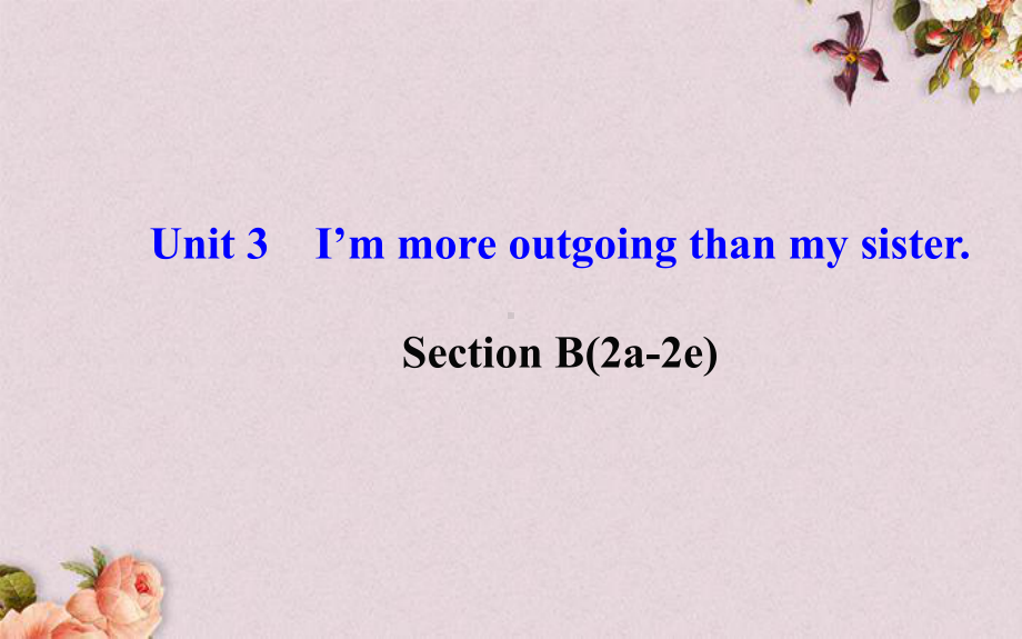 八年级英语上册 Unit 3 I’m more outgoing than my sister Section B(2a—2e)课件.ppt(课件中不含音视频素材)_第1页