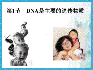 人教版《DNA是主要的遗传物质》课件完美1.ppt