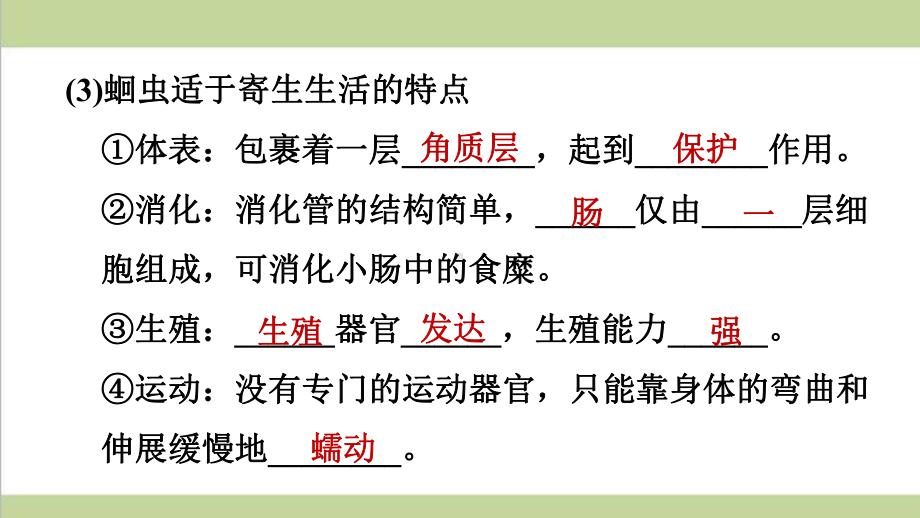 人教版八年级上册生物 12 线形动物和环节动物 课后习题重点练习课件.ppt_第3页