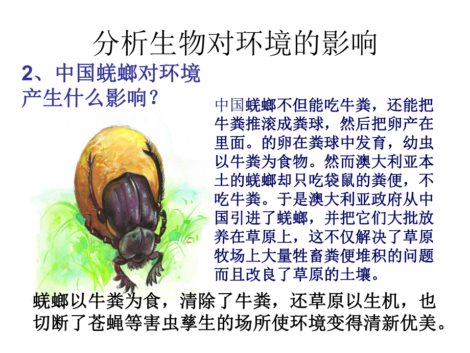 223 生物对环境的影响课件.ppt_第3页