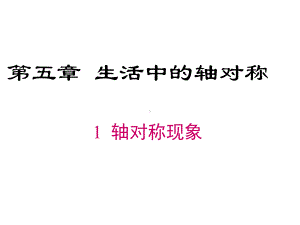 北师大版七年级下册数学轴对称现象课件.ppt