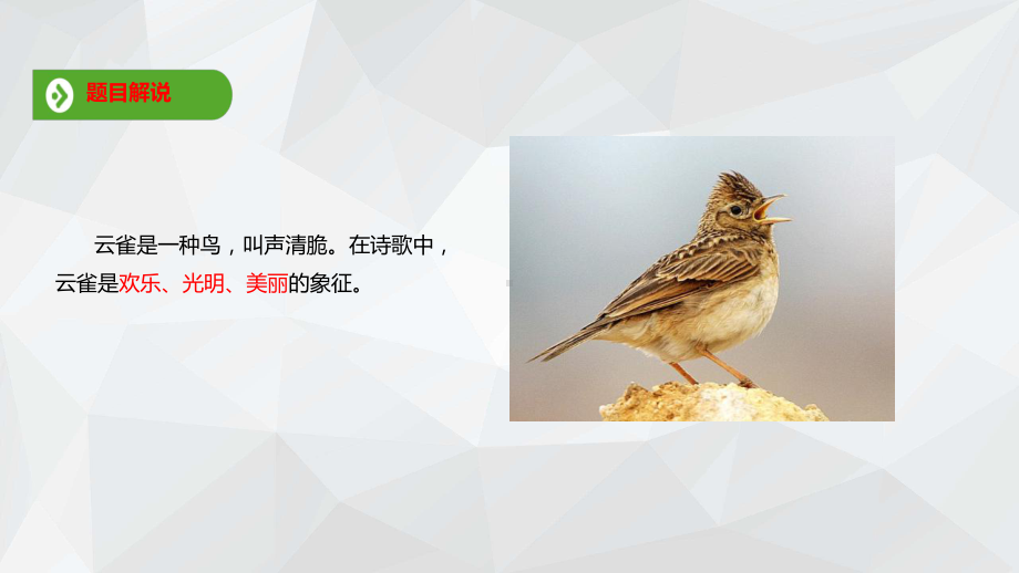 《致云雀》课件.ppt_第3页