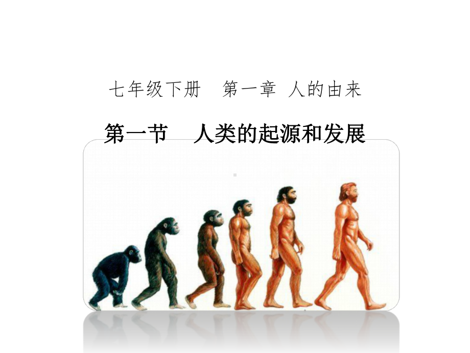 411 人类的起源和发展课件 2020 2021学年人教版七年级生物下册 .pptx_第1页