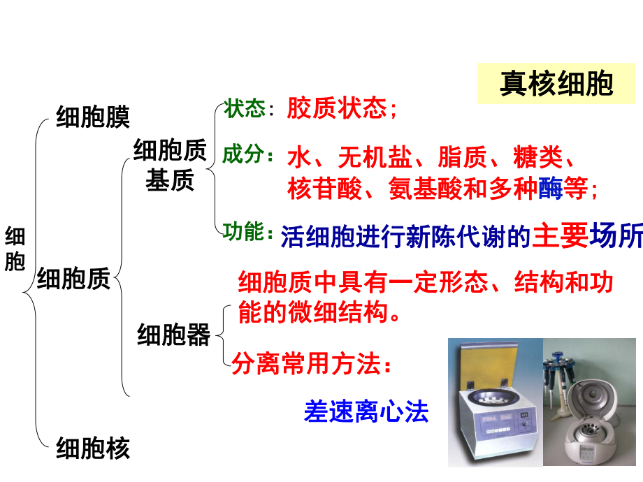 人教版高中生物必修一第三章第二节课件.ppt_第2页