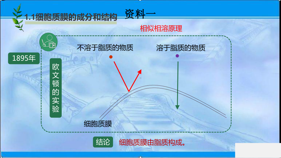 2020 2021学年新苏教版 必修1221 细胞质膜将细胞与外界环境分开课件.ppt_第1页