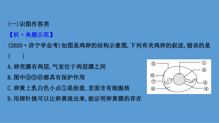 2021学年(苏教版)中考生物热点专项突破一：图表曲线题型课件.pptx_第3页