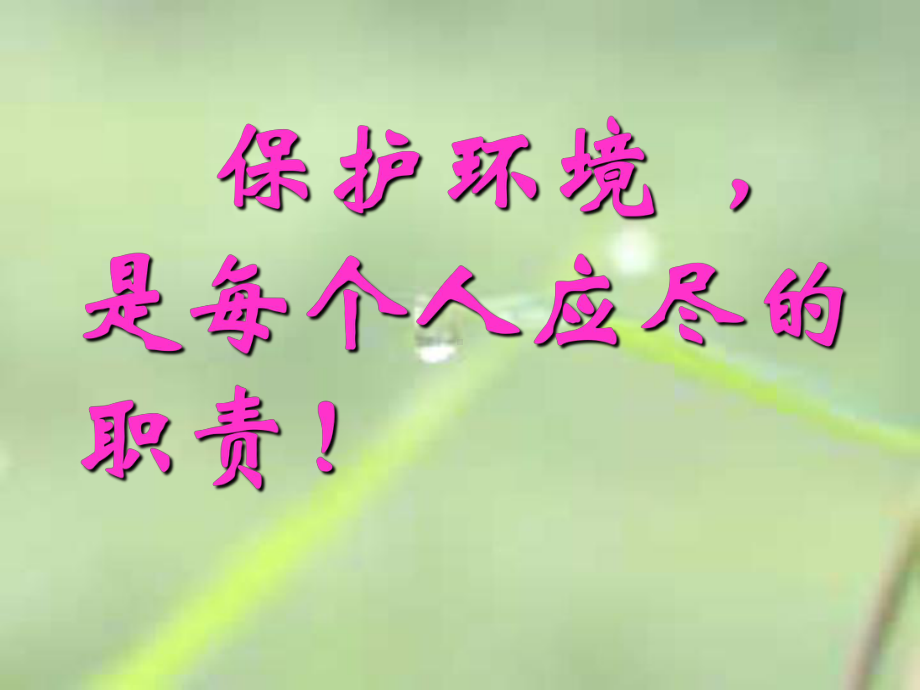 （家长(班)会课件）：依法参与环保.ppt_第2页