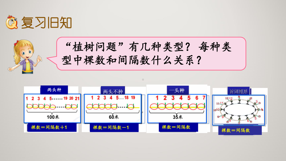 人教版五年级上册数学教学课件 第七单元 数学广角-植树问题 74 练习二十四.pptx_第3页