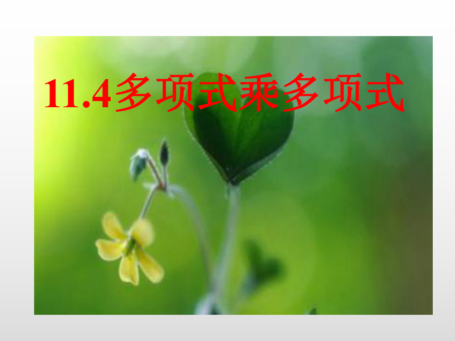 114多项式乘多项式课件.ppt_第1页