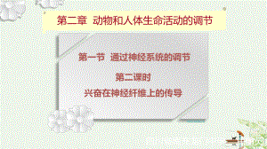 《兴奋在神经纤维上的传导》课件.pptx