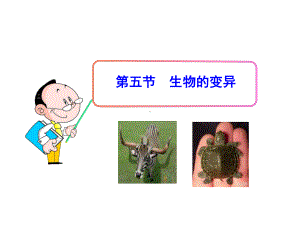 155生物的变异课件 (苏教版八年级下).ppt