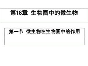 181微生物在生物圈中的作用课件1(生物北师大版八年级上册).ppt