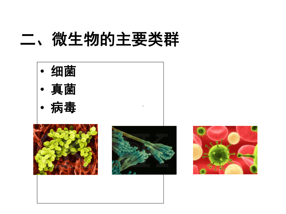 181微生物在生物圈中的作用课件1(生物北师大版八年级上册).ppt_第2页