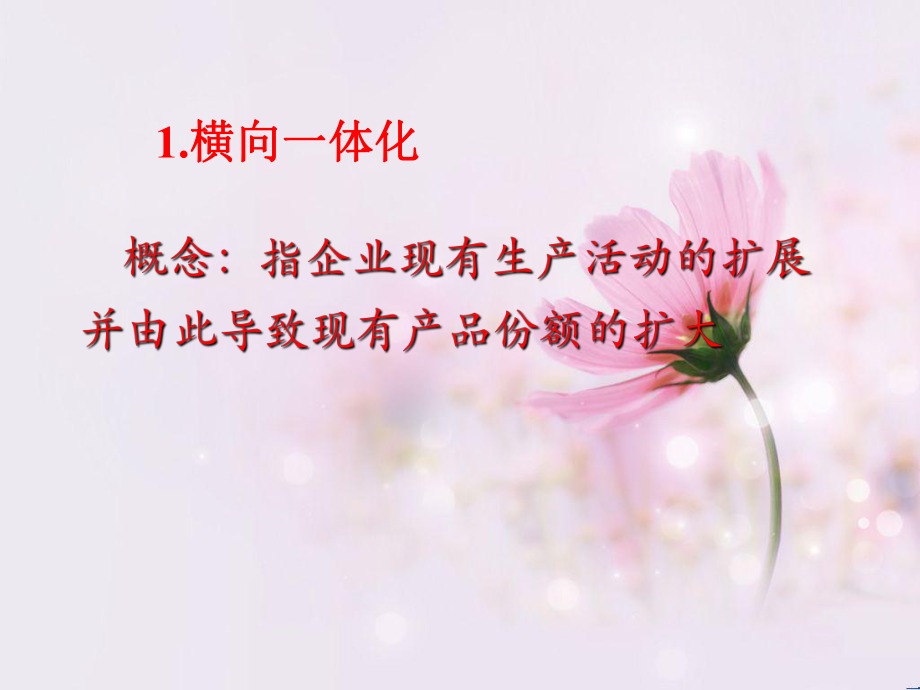 企业的空间增长教学课件.ppt_第3页